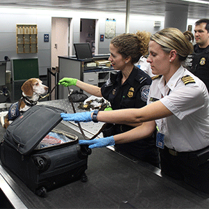 Airport Security Checking Luggage
