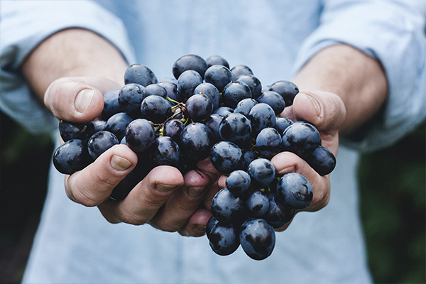 Antioxidants - Blueberries