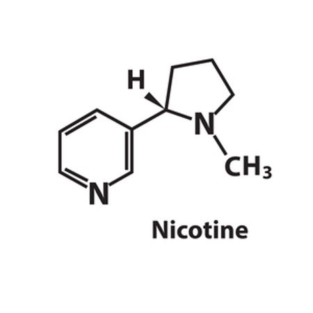 Nicotine Structure