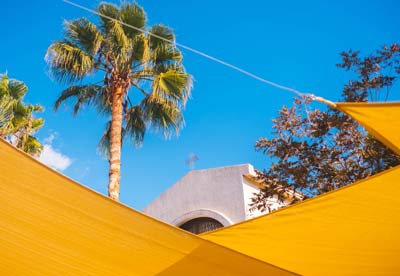 Cyprus building and palm trees