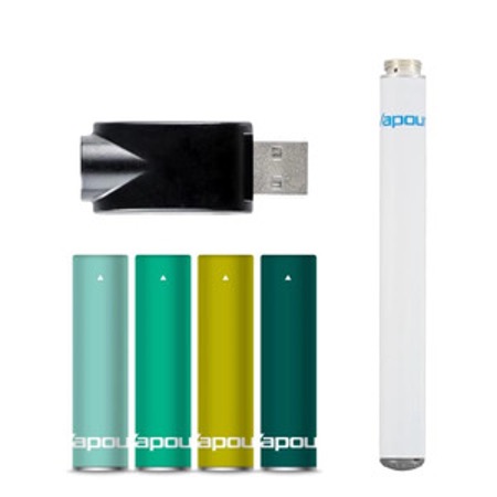 Vapour2 Menthol e-cig 